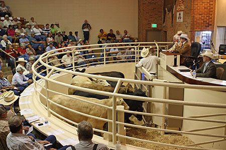 alabama livestock auction uniontown al